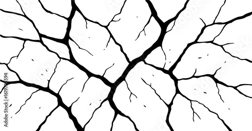 A stark black and white image showcases a network of thick, angular black lines that resemble veins or cracks, set against a bright white background, creating a high-contrast design