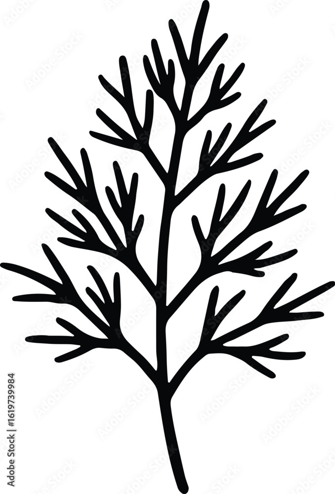 Fototapeta premium Silhouette dill branch herbaceous plant culinary spice vector Illustrator