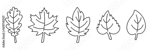 Hand Drawn Leaves Outline Set. Editable stroke. Simple Black Line Art of Various Leaf Shapes Including Oak and Maple, Minimalist Botanical Clipart for Autumn, Nature, Eco, or Educational Designs