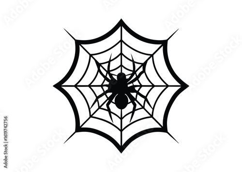 Spider on web silhouette black vector white background