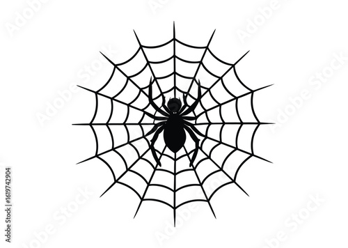 Spider on web silhouette black vector white background
