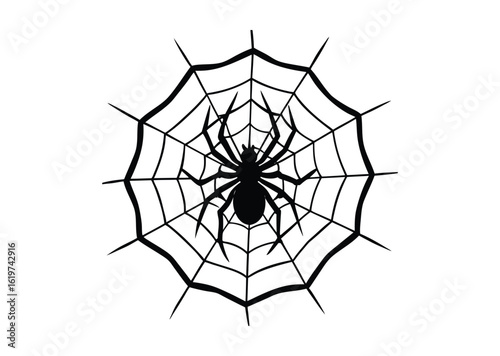 Spider on web silhouette black vector white background