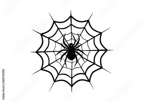 Spider on web silhouette black vector white background