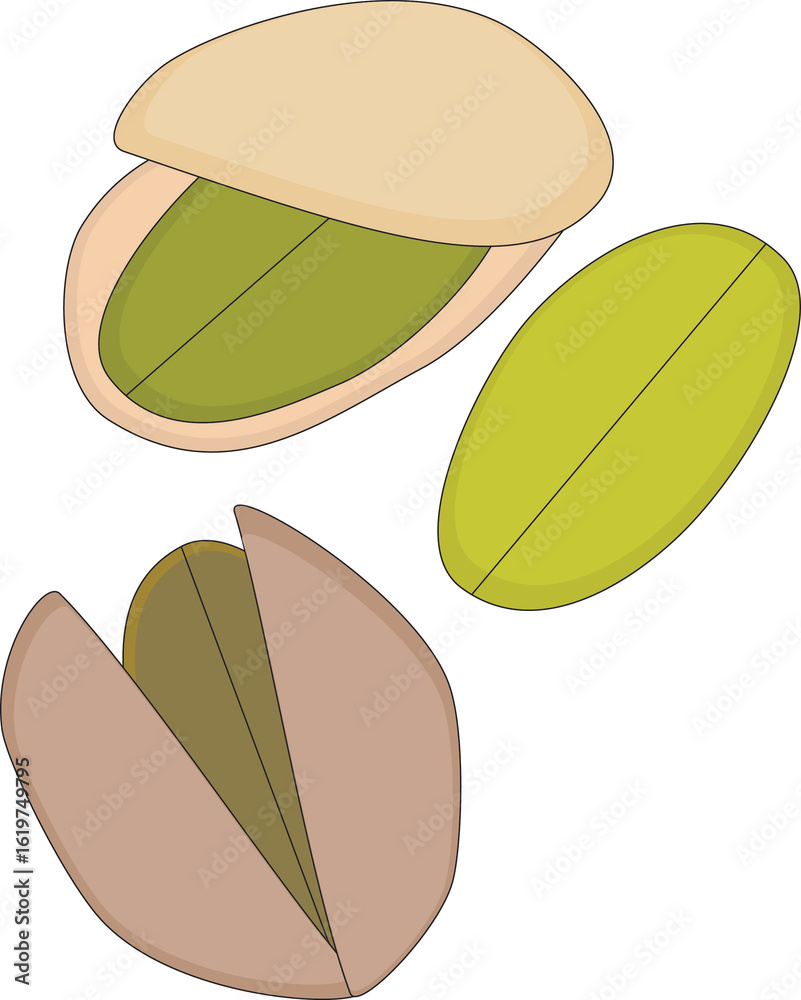 Obraz premium A vector art of pistachio.