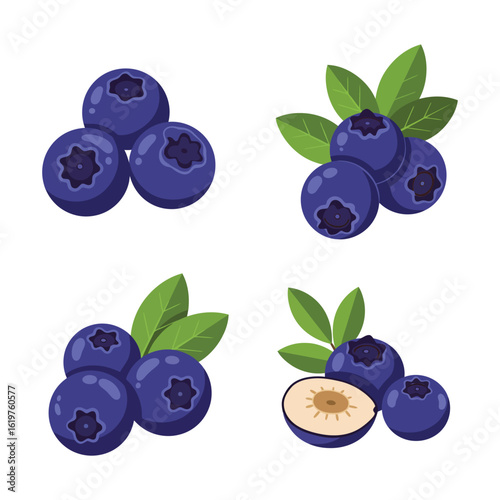 Set of Fresh Blueberries with Leaves Isolated on White Background Vector