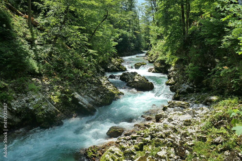 Fototapeta premium Die Vintgarklamm in Slowenien