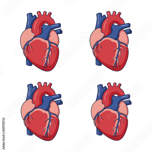 Human Heart Anatomy Illustration Seamless Pattern on White Background for Medical Design