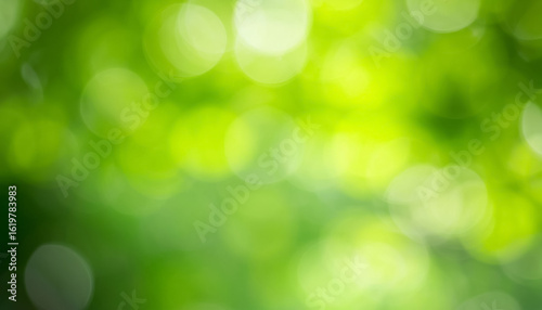 Blurred natural green background - bokeh glare.