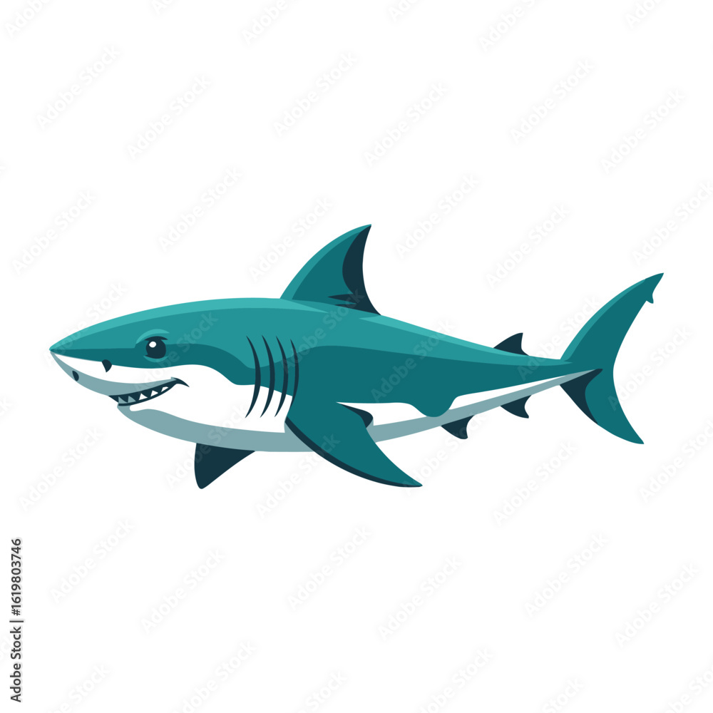 Fototapeta premium Great White Shark, vector illustration on white background.