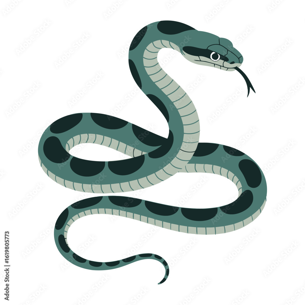 Fototapeta premium Sea Snake, vector illustration on white background.