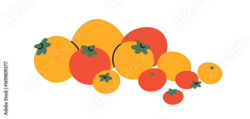 Tomato harvest. Fresh healthy farm vegetables, garden fruits, natural organic seasonal crop, produce. Ripe vitamin nutrition, eating. Flat vector illustration isolated on white background