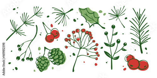 Winter botanical elements with green pine needles, holly leaves and red berries - festive branch collection for Christmas decoration. Hand drawn evergreen sprigs, foliage and seasonal plants.
