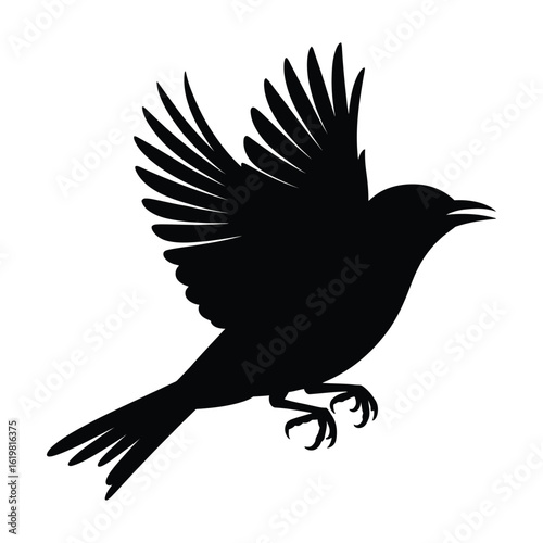 Oriole Flying Bird Silhouette, Vector, Illustration, Outline, Line Art, Icon, Logo, White Background.