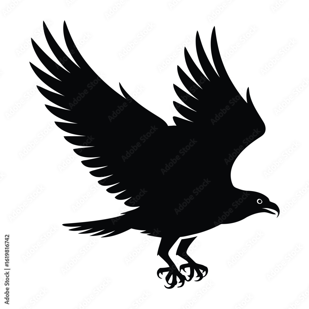 Obraz premium Osprey Flying Bird Silhouette, Vector, Illustration, Outline, Line Art, Icon, Logo, White Background.