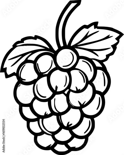Boysenberry Vector Outline for Logo and Art