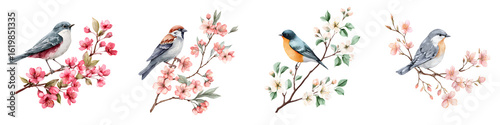 Watercolor Birds on Blossoming Branches Set on White