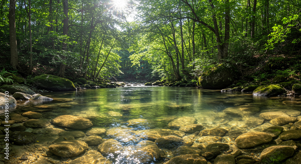 Fototapeta premium Nature Background Background stock image of scenic river flowing through forest with rocks and sunlight shining through 90