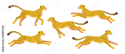 Five cheetahs in dynamic running poses on white background