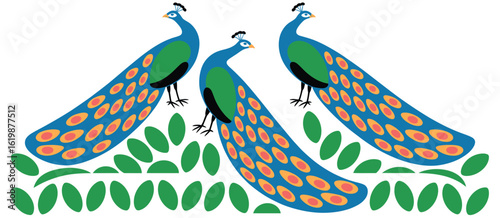Three elegant peacocks with vibrant blue and green plumage standing among lush green foliage