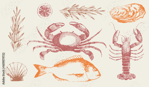 Realistic traditional ink drawing set of seafood for label, logo, poster, tattoo. Crab vintage retro print, fish, crawfish sketch grainy texture, grunge. Vector illustration. Stipple photocopy effect.