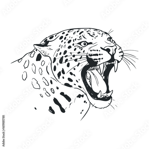Roaring jaguar in black and white with ferocious expression and detailed spots. Vector illustration