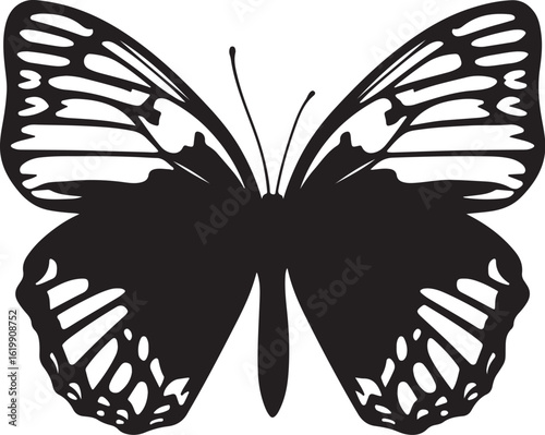 Black butterfly wings detailed pattern insect white