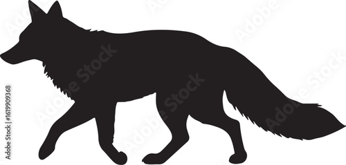 Black fox silhouette walking animal mammal