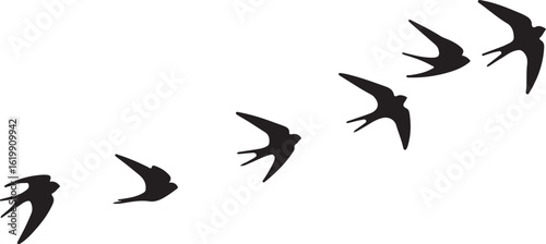 Black swallows flying in formation birds flock