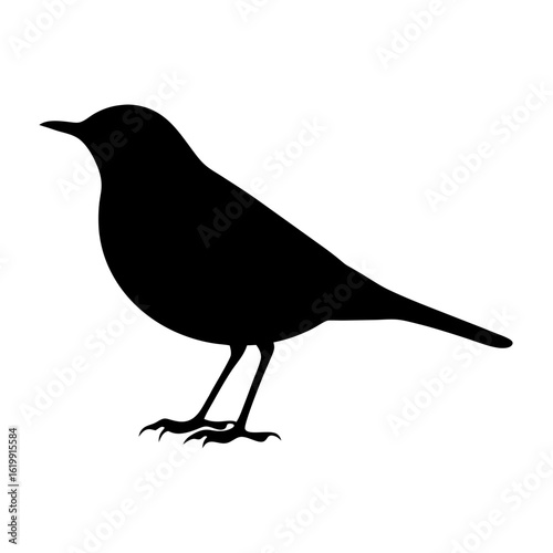 Black silhouette of a bird standing on the ground, a clear portrayal