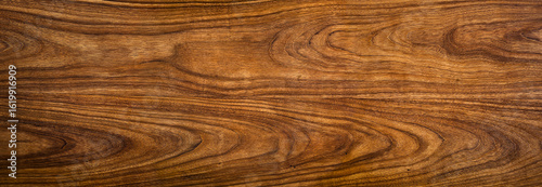 Bild auf Leinwand Wood tree texture close up