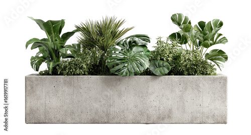Gray concrete planter filled with lush greenery.  Various plant types, including large leaves and ferns, create a vibrant arrangement