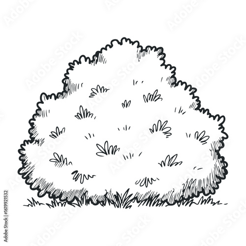 Black and white sketch of a bush with leafy details and grassy base. Vector illustration