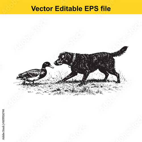 Curly-Coated Retriever Vintage Black & White Hunting Dog Illustration with Muller Duck – Standing, Jumping, and Hunting Pose
