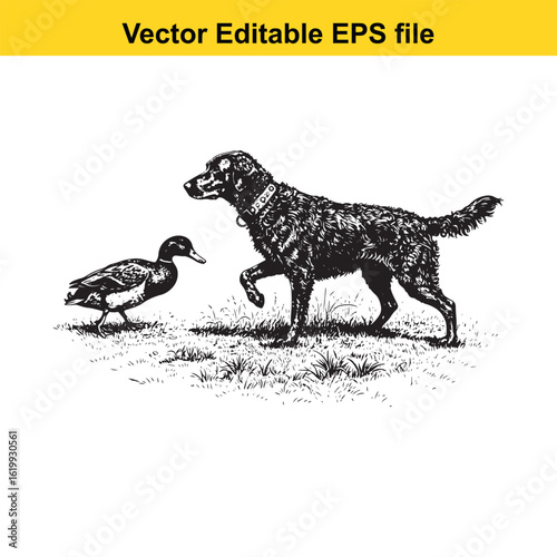 Curly-Coated Retriever Vintage Black & White Hunting Dog Illustration with Muller Duck – Standing, Jumping, and Hunting Pose