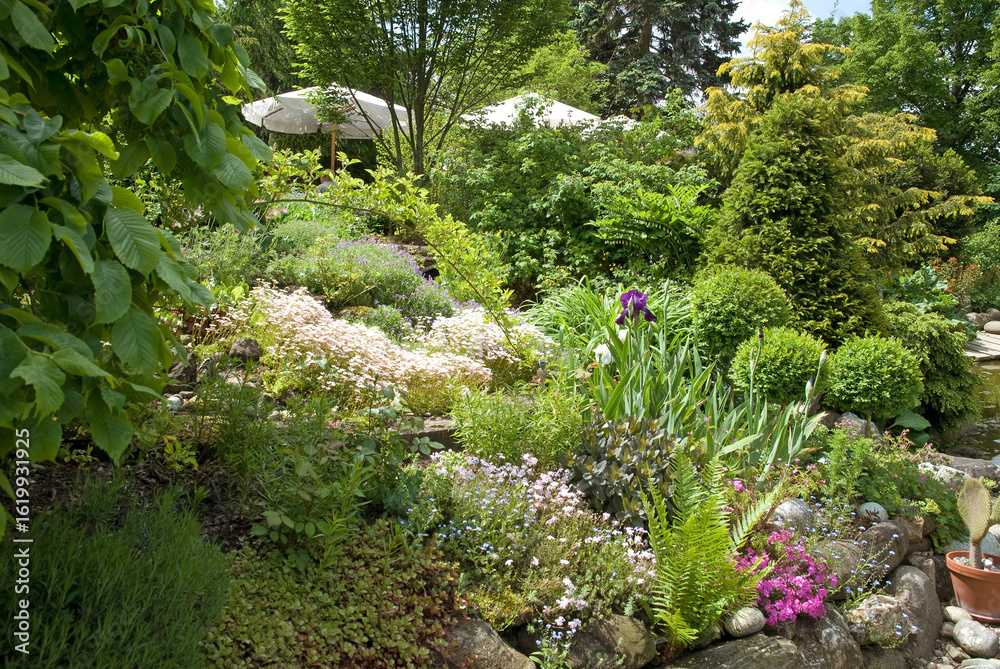 Naklejka premium Rocaille, Fougere, Bégonia, Buis, Résineux, Jardin du Dr Hertzka, jardin de plantes médicinales de Hildegard von Bingen. Öhningen, Alllemagne