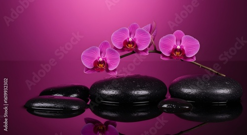 Zen Orchid Arrangement with Spa Stones