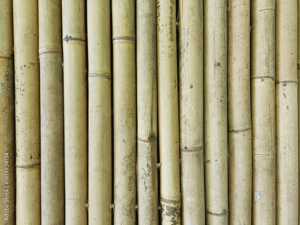Fototapeta premium Close-up of old fence made of weathered natural unfinished bamboo poles