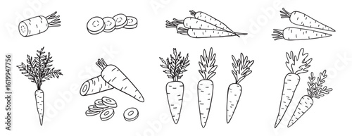 carrots, whole vegetable and piece of carrot doodle hand drawn icon set. Outline drawing carrot line clipart symbol collection