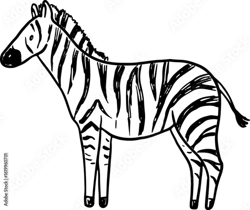 zebra vector illustration
