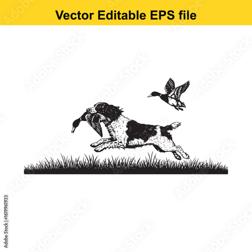 English Springer Spaniel Vintage Black & White Hunting Dog Illustration with Muller Duck – Standing, Jumping, and Hunting Pose