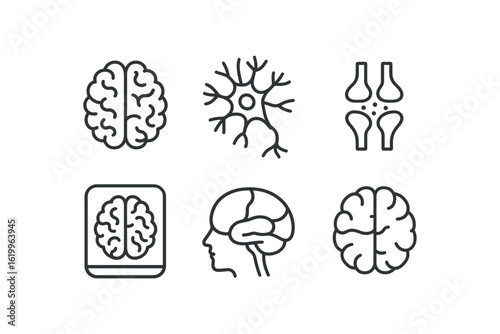 straight perfect stroke icon mono icons style isolated brain corte model brain neuron network brain synapse diag brain MRI scan brain hemisphere map brain lobes chart