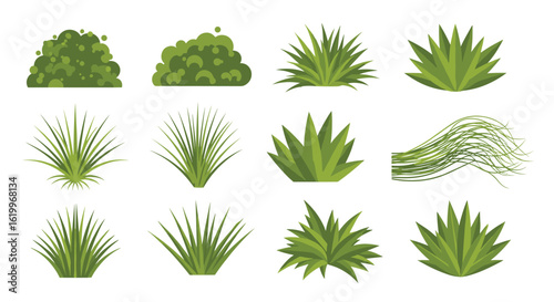 Collection of various green shrubs and ornamental grasses for landscaping and garden design elements