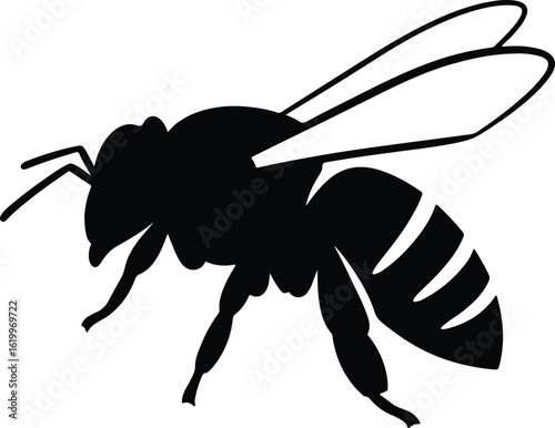 Silhouette Honeybee detailed side view insect vector Illustrator