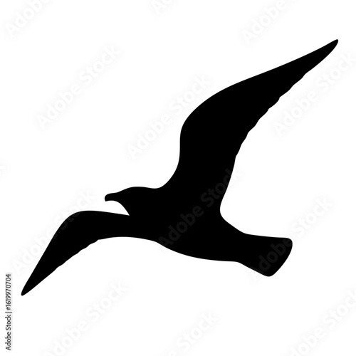 Silhouette of a bird flying against a white background in beautiful illustration