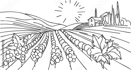 Sketch vineyard simple landscape. Hand drawn monochrome vintage horizontal sketch