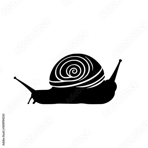 snail on a white background