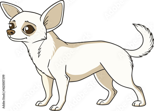 High resolution full body illustration of a Chihuahua thin