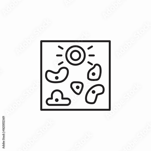 amoeba cell nucleus icon sign vector