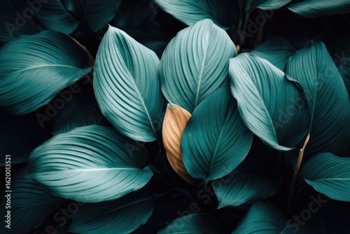 Close-up of lush, textured tropical leaves