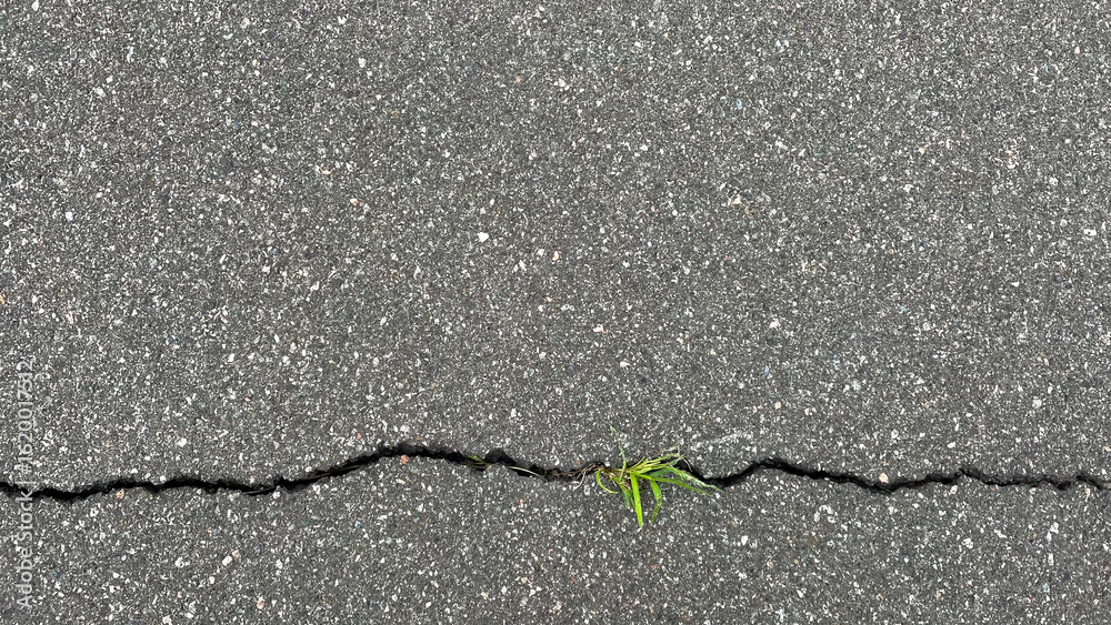 Obraz premium Top view of cracked asphalt with green grass sprouting through urban pavement horizontal background texture
